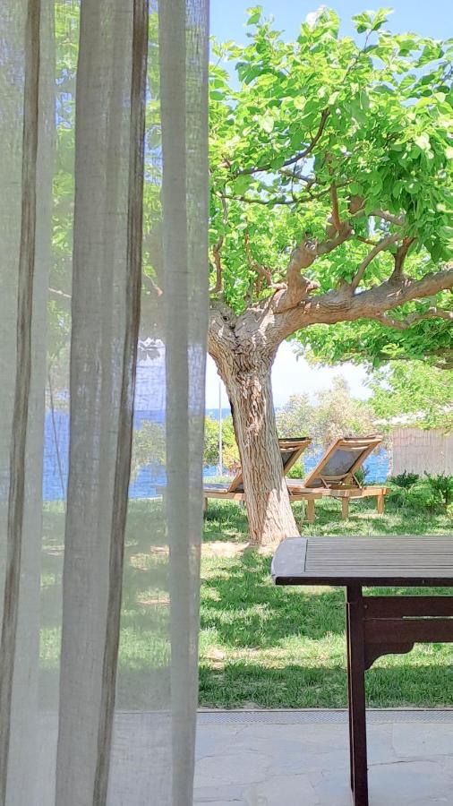 Nama Beach House Arkadiko Chorio Eksteriør billede