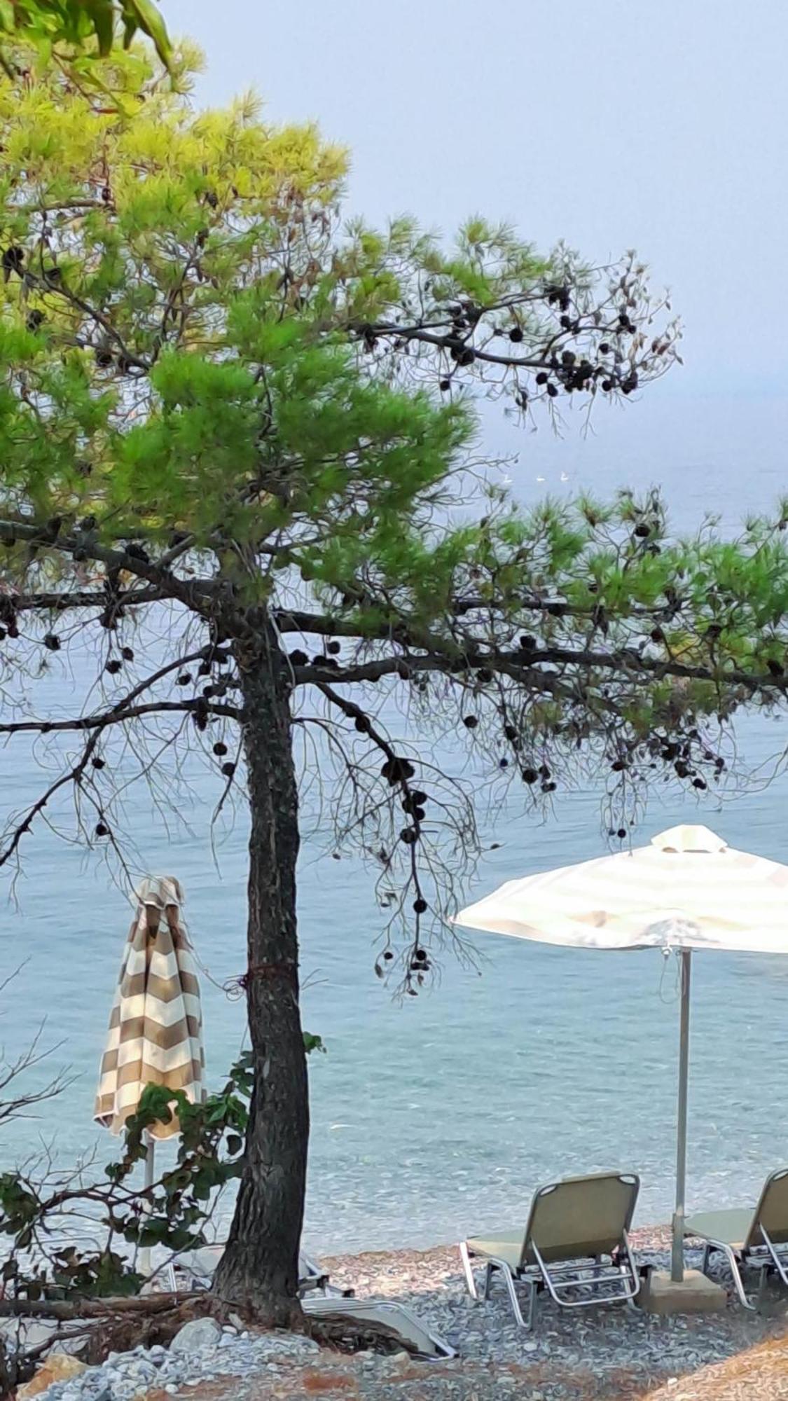 Nama Beach House Arkadiko Chorio Eksteriør billede